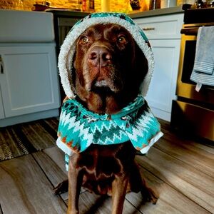 Doggie hoody. fleece. Cozy. Does NOT fit 60 lb chocolate lab. (little dog xl…)